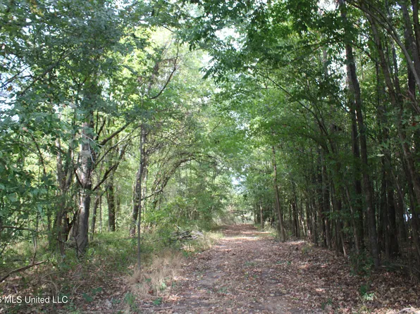 6 Star Landing Rd, Nesbit, MS 38651