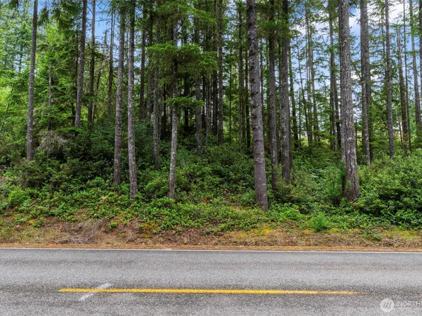 4611 E Rasor Road W, Belfair, WA 98528