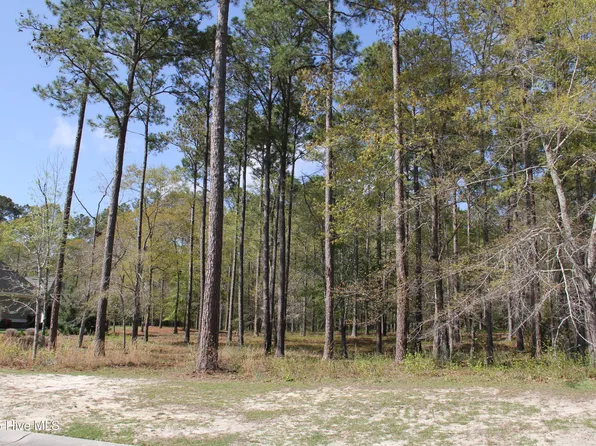 894 Hollybriar Drive SE, Bolivia, NC 28422