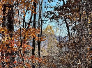 36-54C Ash Branch Cir, Hayesville, NC 28904