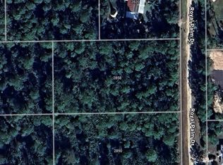 2858 Royal Palm Dr LOT 11, Bunnell, FL 32110
