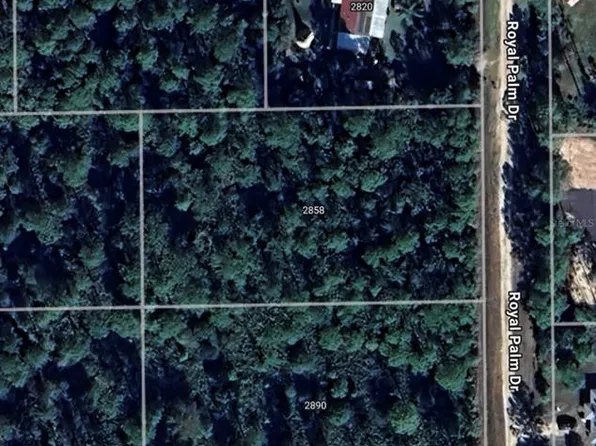 2858 Royal Palm Dr Lot 11, Bunnell, FL 32110