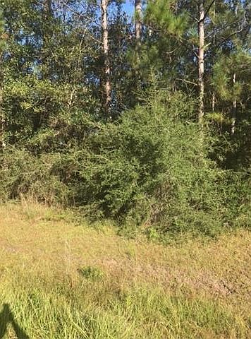 1st image of Woodland West Drive
