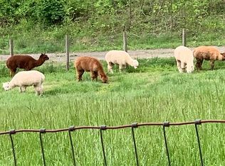 3406 Green Cove Rd, Brasstown, NC 28902