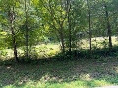 3rd image of 0 Shelter Branch Rd Lot 1A