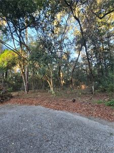 18582 SW 78th St, Dunnellon, FL, 34432