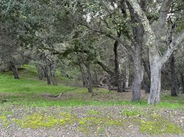 (undisclosed Address), Redwood City, CA 94062