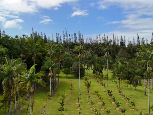 29-3707 Kanna Rd, Hakalau, HI 96710