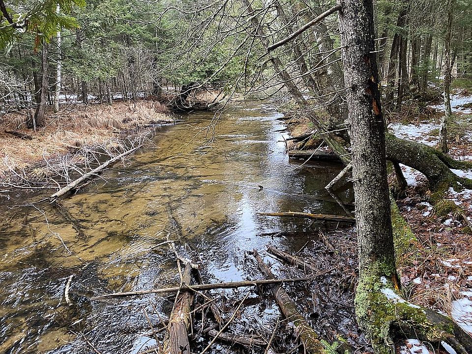 2nd image of 7812 Brown Bridge Rd