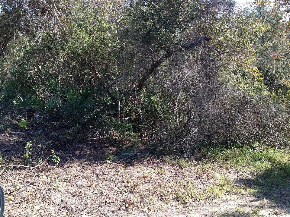1st image of 765 Palmetto Ave