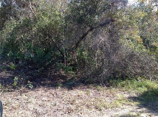 765 Palmetto Ave, Orange City, FL 32763