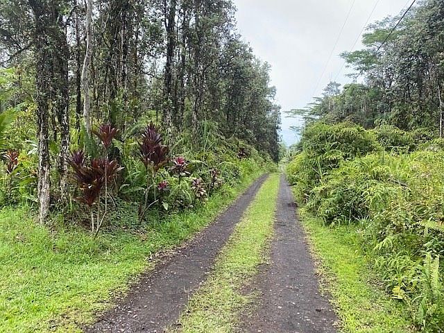 2nd image of Nanawale Farms Rd Lot 58