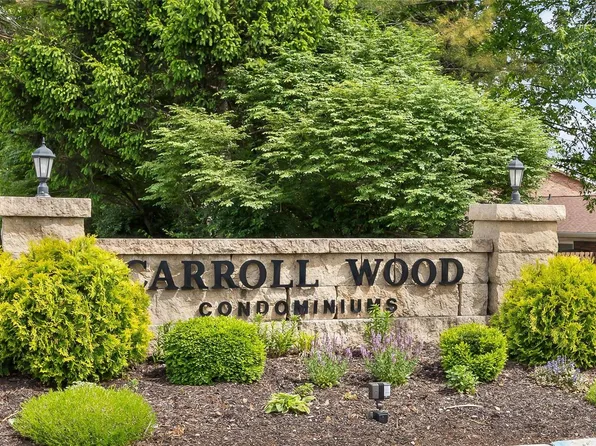 10616 Carroll Wood Way, Saint Louis, MO 63128