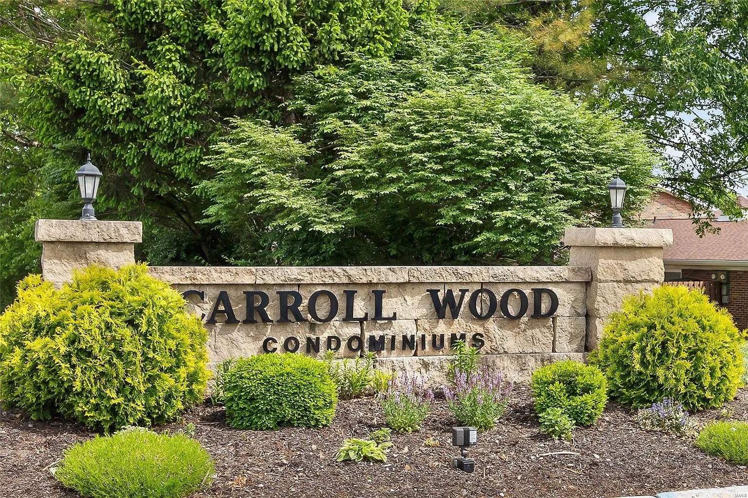 10616 Carroll Wood Way photo 1