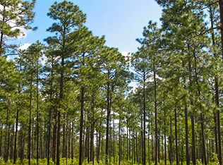 0 Gunnell Rd, Ruth, MS 39662