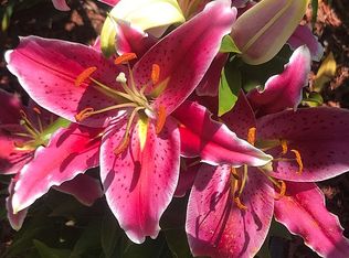 3512 Mary Ave, Baltimore, MD 21214