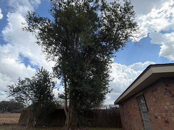 Back yard no longer has the tree