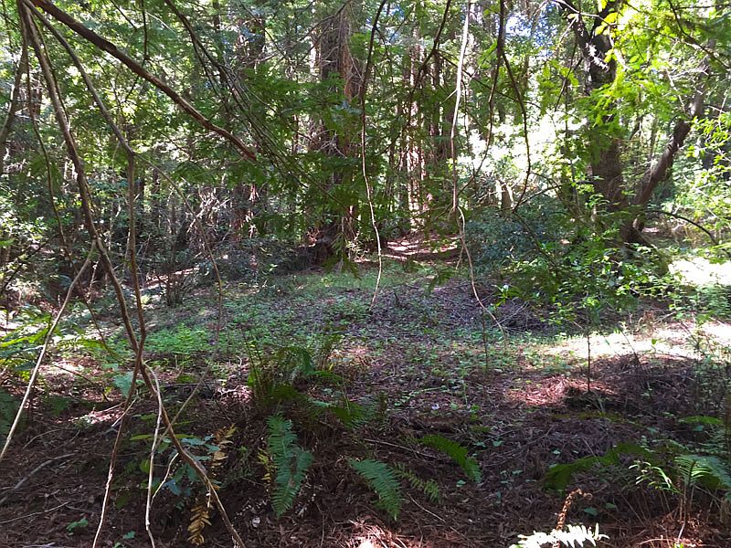 1st image of 00 Timberwood Road