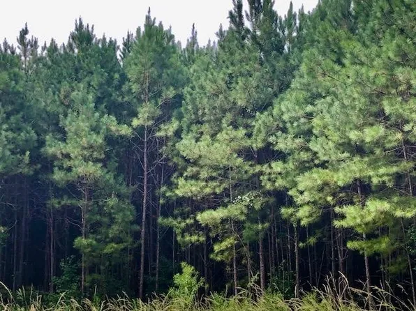 0 Henry Smith Rd, Haynesville, LA 71038