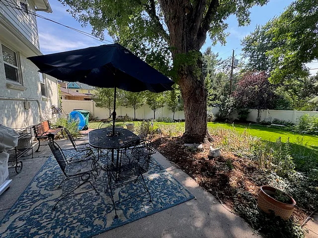 shared backyard