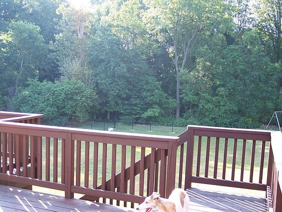 view from back deck