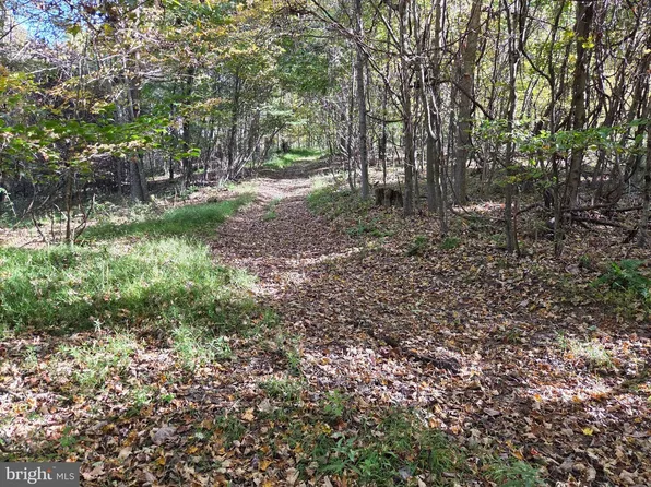 0 Black Walnut Rd, Commodore, PA 15729