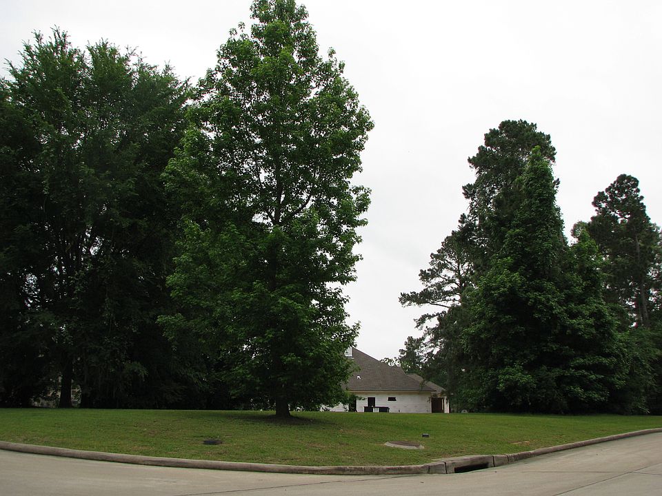 1st image of 130 Pine Bluff Dr