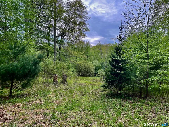 Meadow Brook Road, Hebron, CT 06231