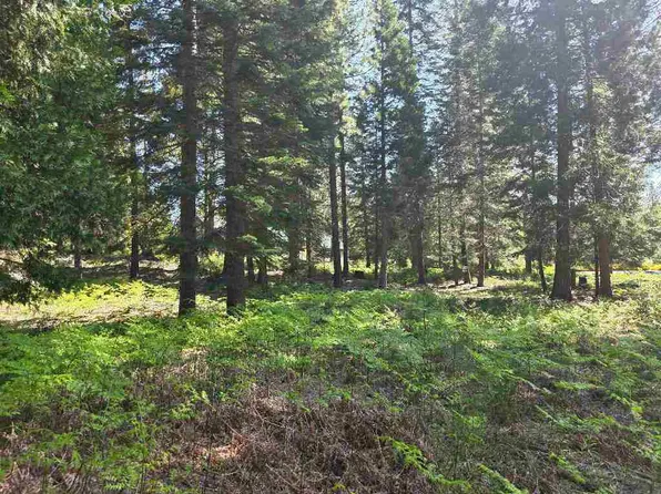 LOT 59 Old Mill Rd, McCloud, CA 96057