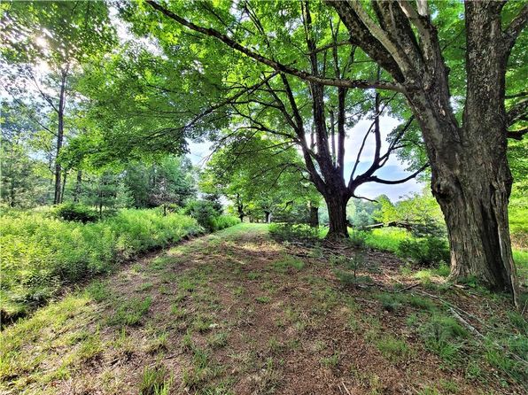 TBD Mitchel Road, White Lake, NY 12786