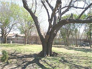 3rd image of 3526 Bonita Vista Cir