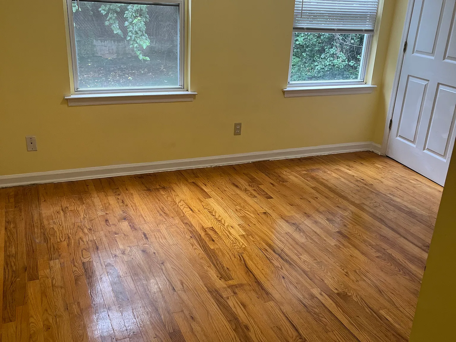 3 bed, 1200 sqft, $2,950 — Photo 4