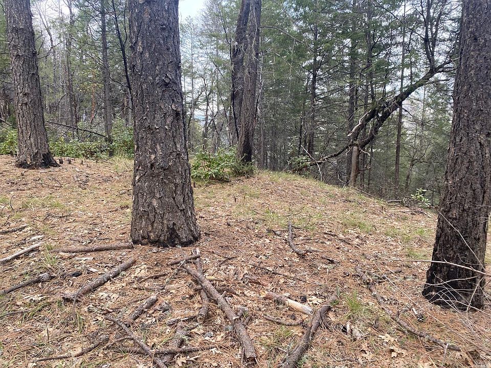 2092517 North Rd, Potter Valley, CA 95469 MLS 323023543 Zillow