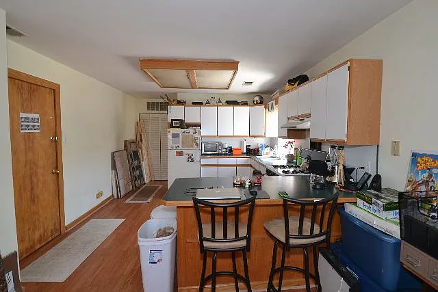 Majestic 1 Bed, 1 Bath at Ashland + Byron (Wrigleyville) — Photo 4