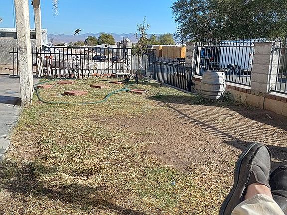 Front yard, lawn coming in. 