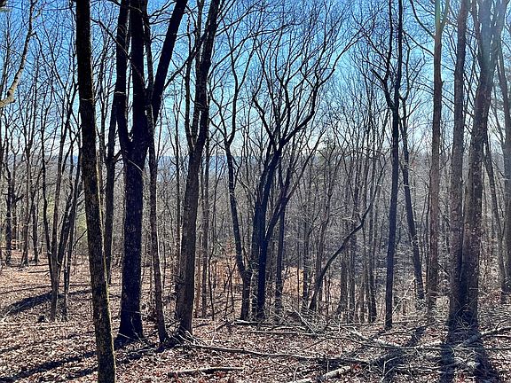 4th image of 291 Mary Brown Ln