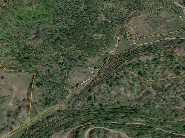 LOTS Grass Run Rd, Burnsville, WV 26335