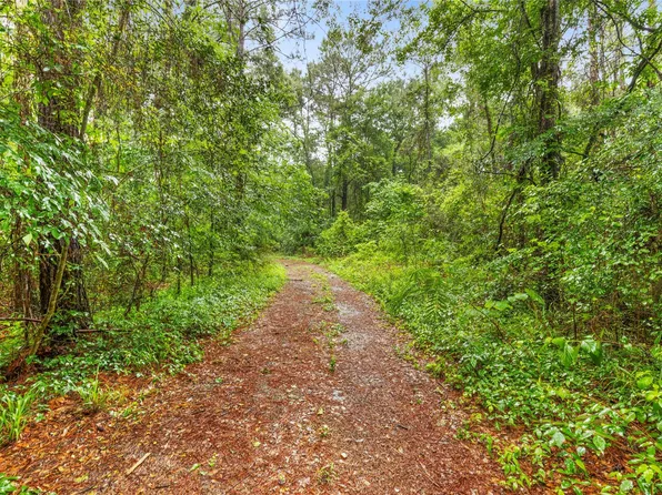 Whispering Pines Ln, Plantersville, TX 77363