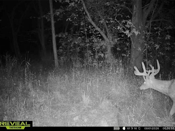 5th image of Ball Hill Rd