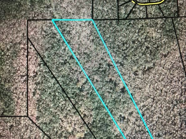  311th Ave, Old Town, FL 32680