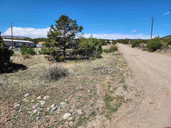 659 Blackhawk Road, South Fork, CO 81154