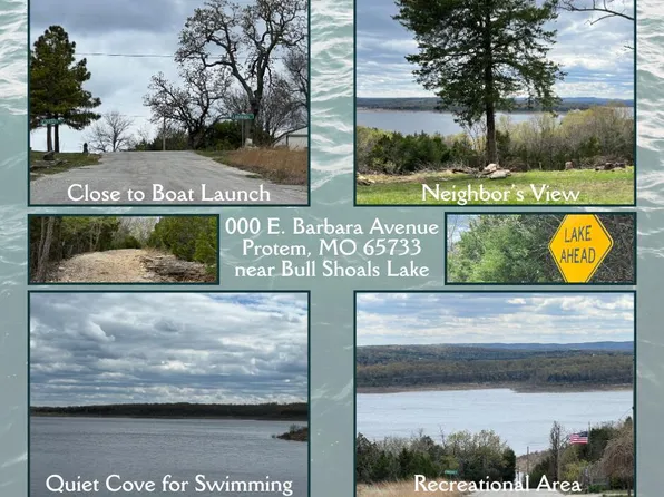 000 E Barbara Avenue, Protem, MO 65733