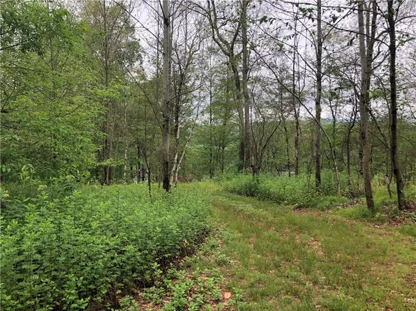 Meadow View Court, La Grange Ville, NY 12540