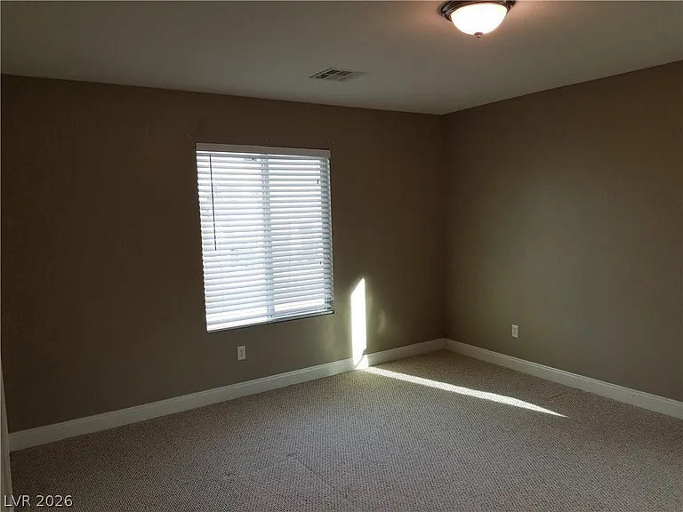 3412 Lacebark Pine St — Photo 22