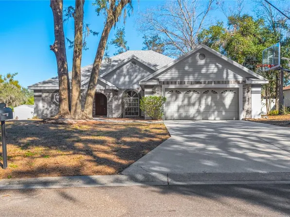 11534 River Country Dr, Riverview, FL 33569