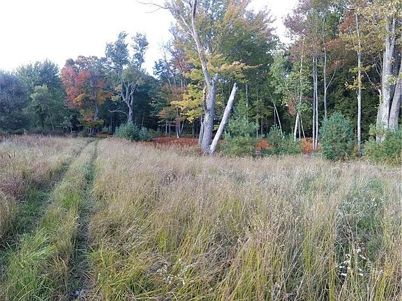 4th image of Pine Lake Dr