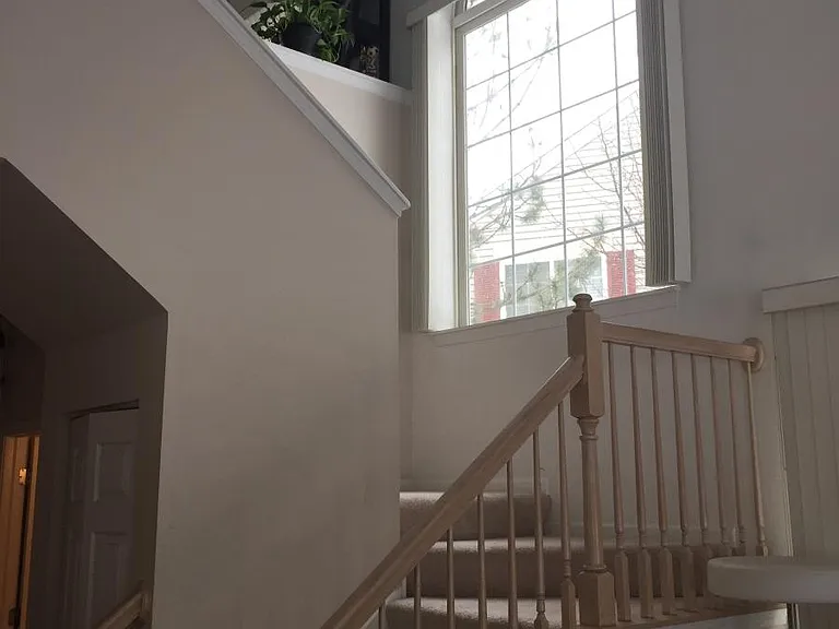 258 Sierra Pass Dr — Photo 8