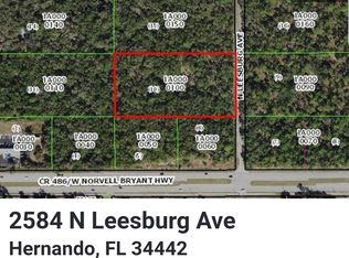 2584 N Leesburg Ave, Hernando, FL 34442