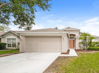 13116 Early Run Ln, Riverview, FL 33578