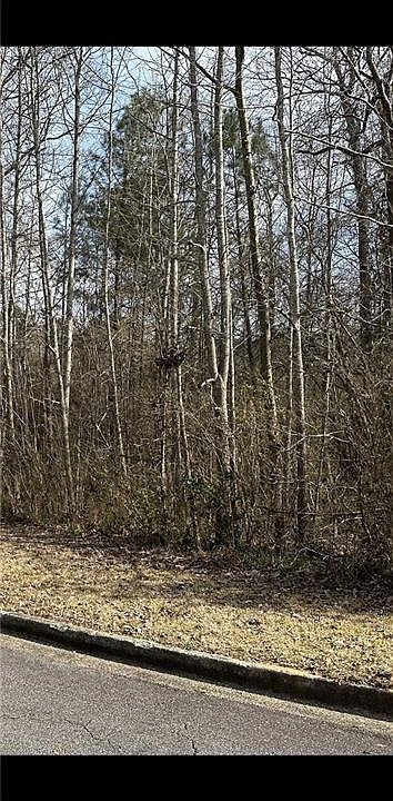 2nd image of 7236 Timber Ct